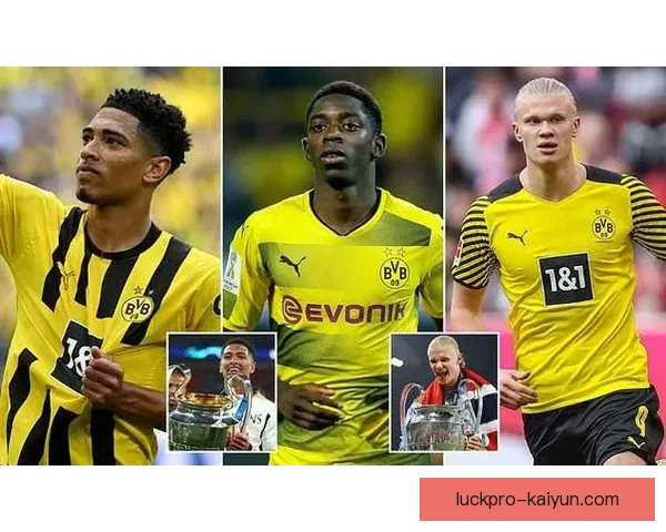 哈兰德多特蒙德转会 哈兰德多特蒙德转会