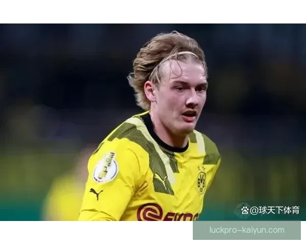 多特青训实力持续提升，年轻球员表现稳健备受期待